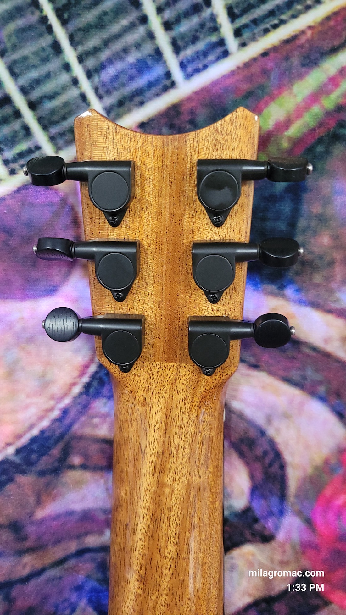Romero Creations Vibrante D HO 6-String Solid Spruce Top