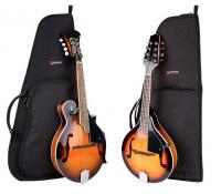 Mandolin Gig  Bag Silver Series